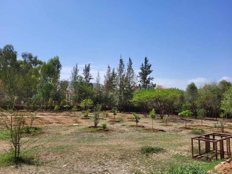 botanische Garten