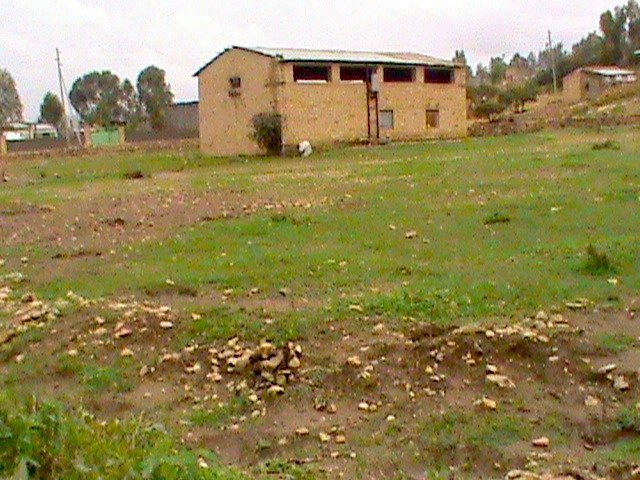 DSC00756