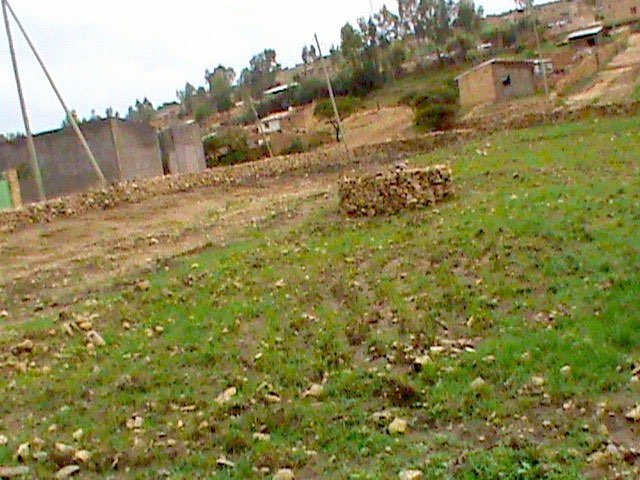DSC00763