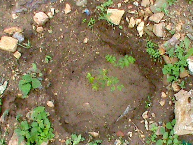 DSC00767